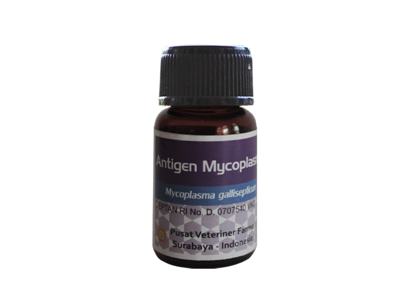 Antigen Mycoplasma